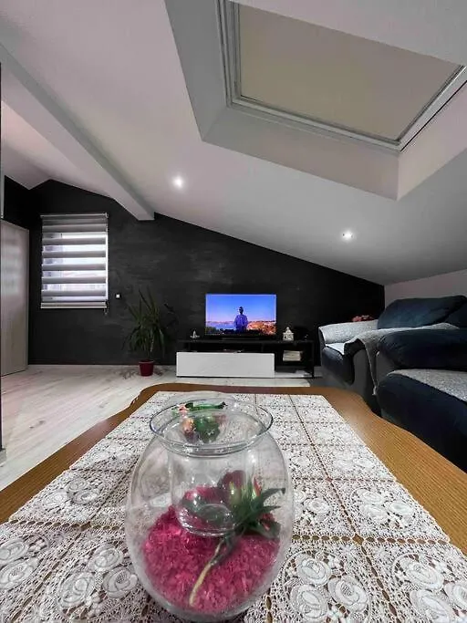 Apartment Mehanovic Rijeka